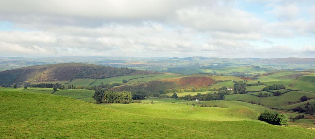 Willa Drovers Retreat Llandrindod Wells Zewnętrze zdjęcie