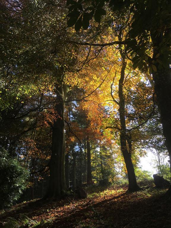 Willa Drovers Retreat Llandrindod Wells Zewnętrze zdjęcie