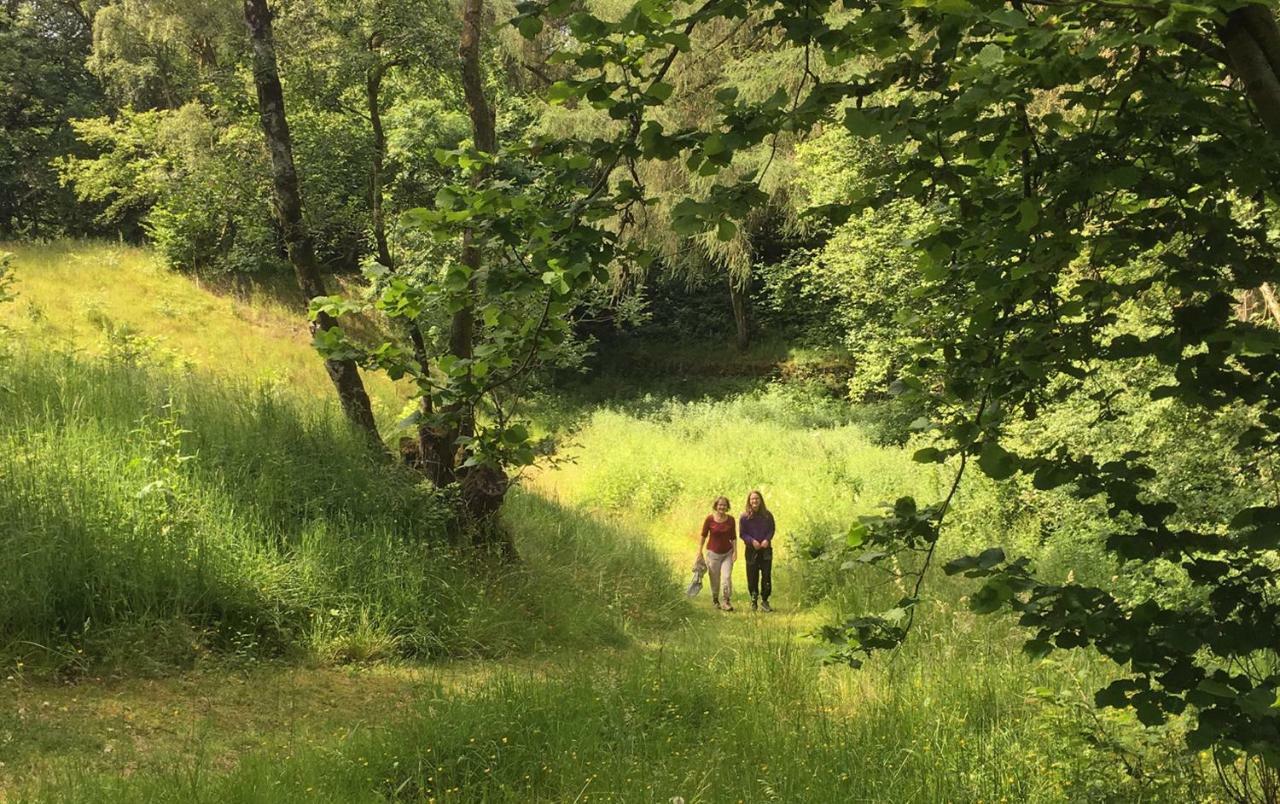 Willa Drovers Retreat Llandrindod Wells Zewnętrze zdjęcie